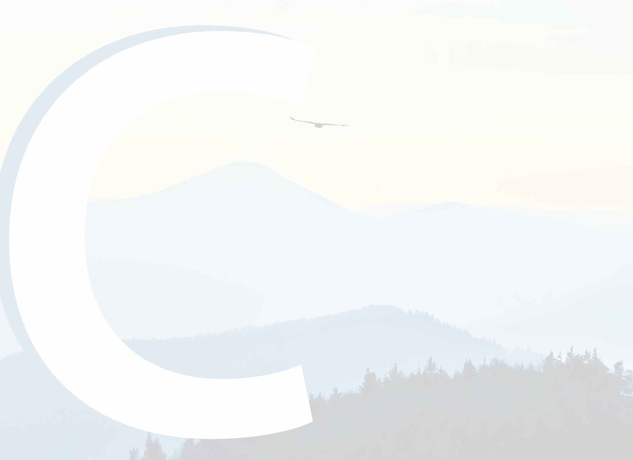 Coaching personalizzato