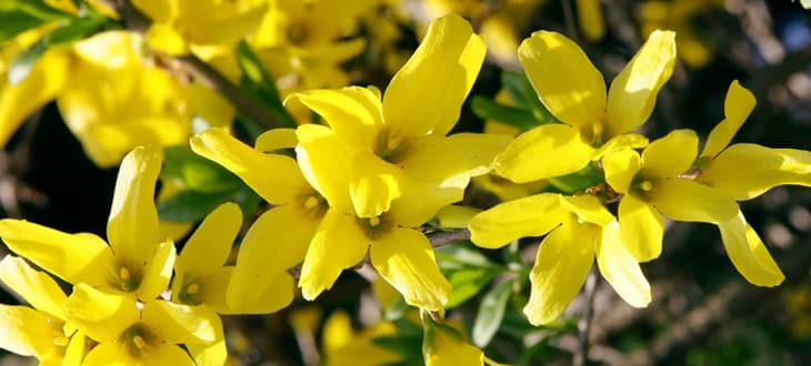 8 marzo: Una voce fuori dal coro