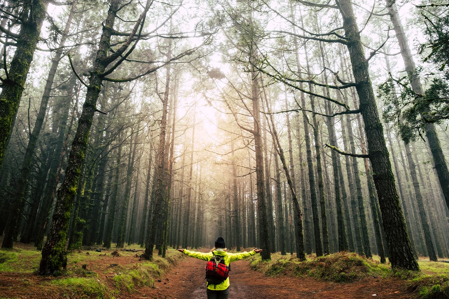 Cambiare non significa combattere la zona di comfort.