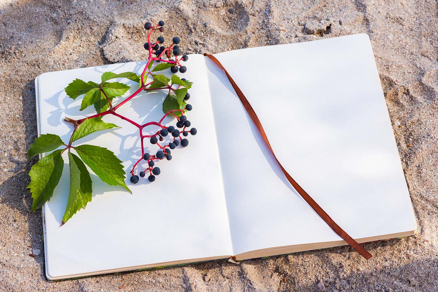 Dalla confusione alla creazione: il Coaching come guida nei momenti di transizione creativa