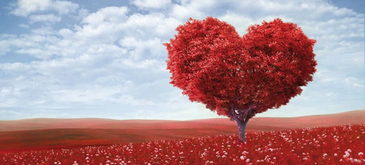 Di che sesso è il Coaching