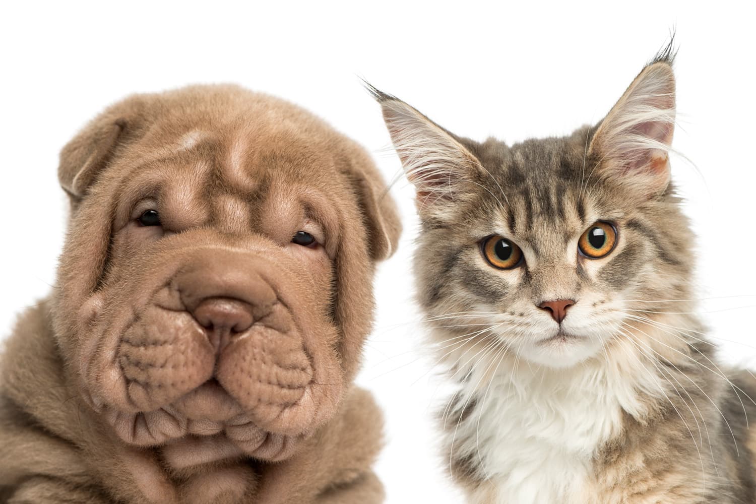 Diventa ciò che sei: il valore di trovarsi