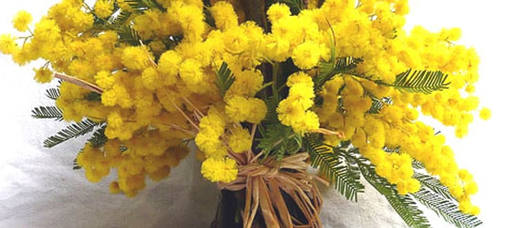 E’ QUELLO CHE VOGLIO!