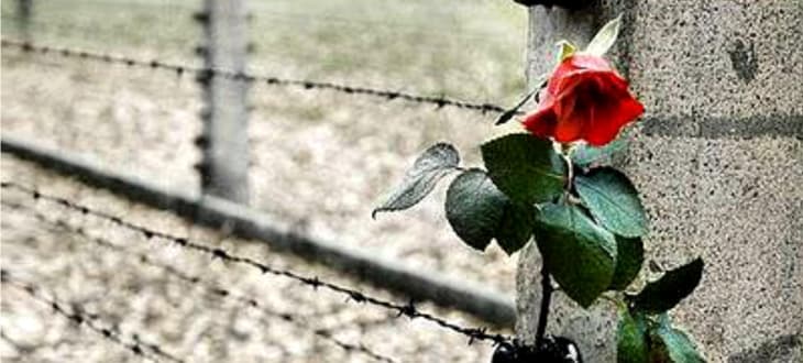 Il giorno della memoria