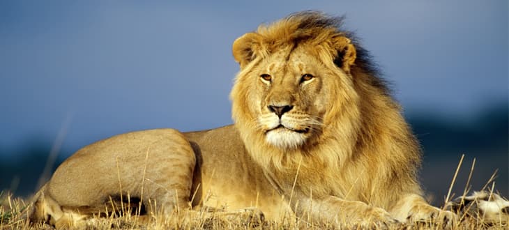 IL BELLO DELLA PAURA