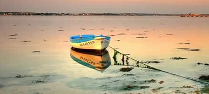 IL PROGETTO SPIAGGIATO