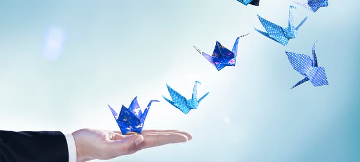 LA MAGICA MISCELA DEL SUCCESSO