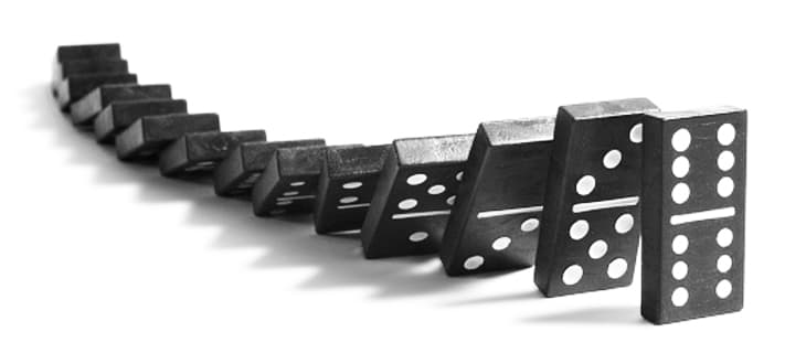 L EFFETTO PEDATA AL GATTO