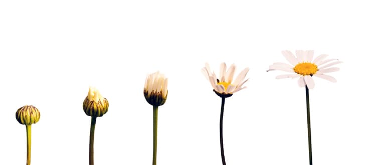 PROSPETTIVE DI CAMBIAMENTO