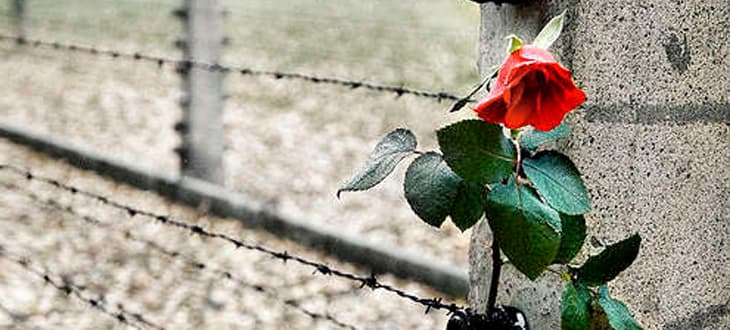 SARA NON VUOLE RICORDARE, NOI SI