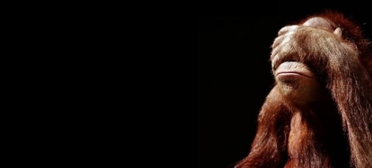 Il senso della vergogna